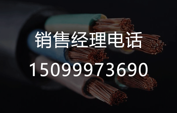 黑貓五恒舒智空間春節(jié)放假通知